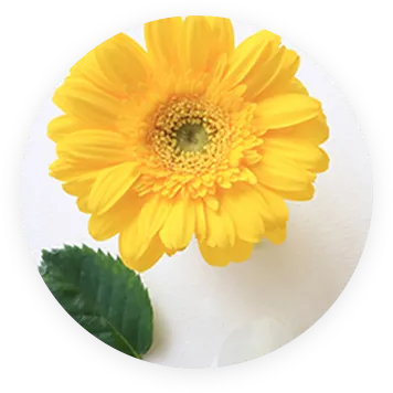 ブレンドイメージ