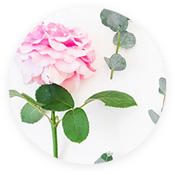 ブレンドイメージ