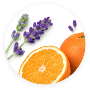 ブレンドイメージ