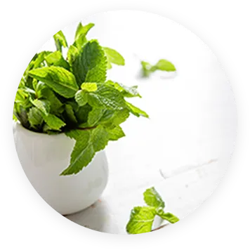 ブレンドイメージ