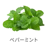 ペパーミント