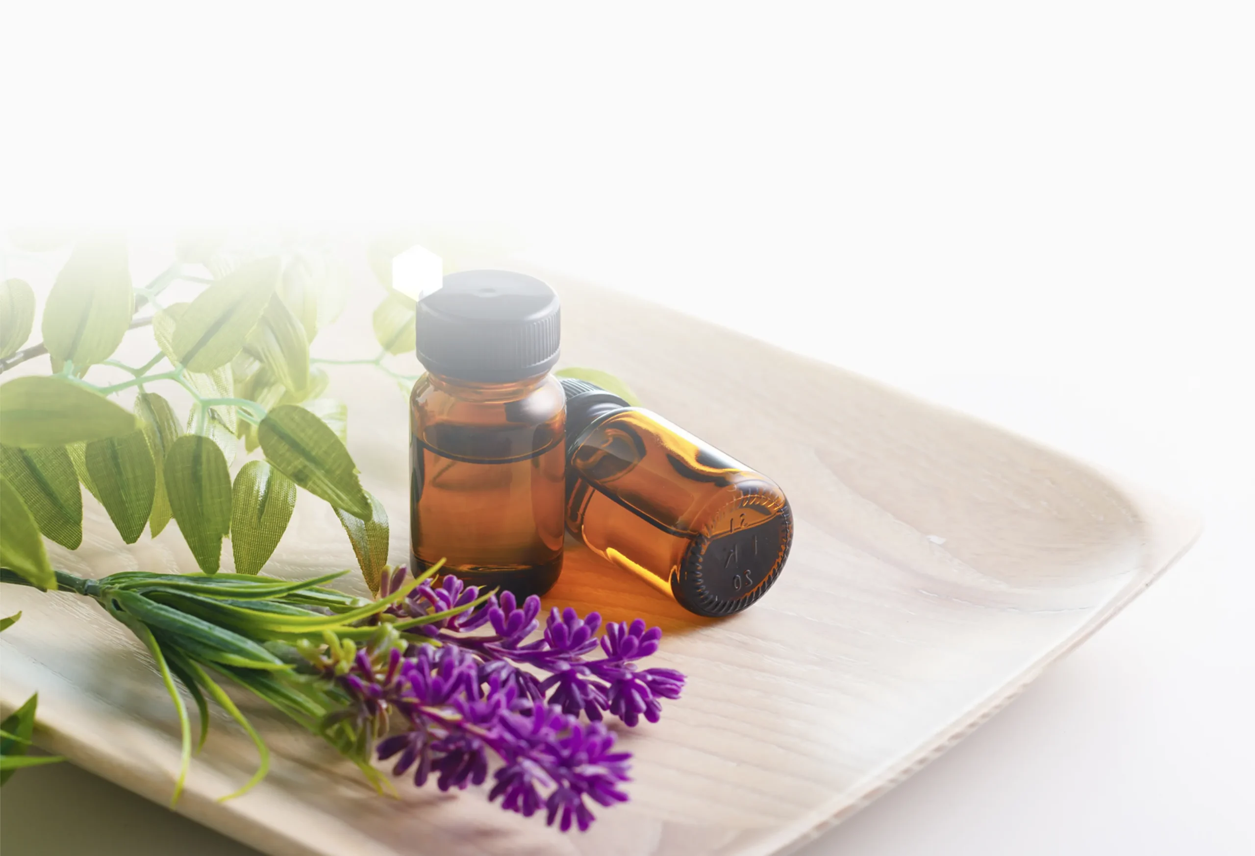 選べる2つのプラン