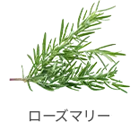 ローズマリー