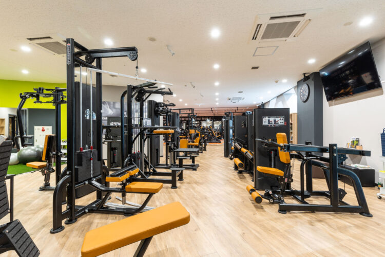 フィットイージー